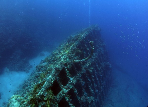 Сафари 07-2011 Сафари 07-2011