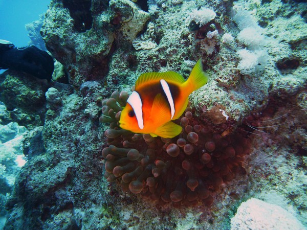 Сафари 07-2011 Сафари 07-2011