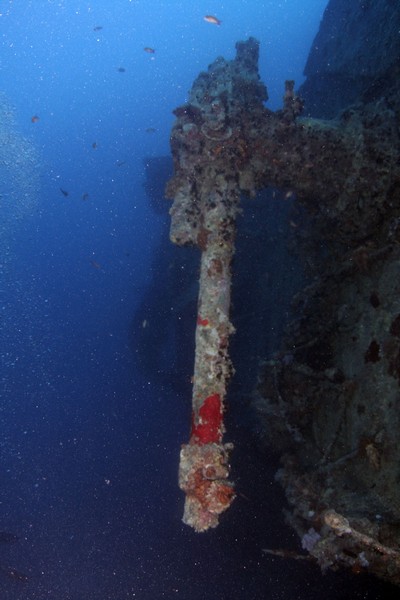 Сафари 07-2011 Сафари 07-2011