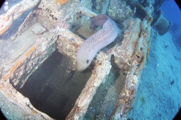 Сафари 07-2011 Сафари 07-2011