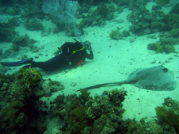 Сафари 07-2011 Сафари 07-2011