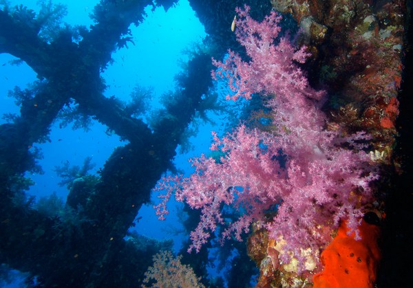 Сафари 07-2011 Сафари 07-2011