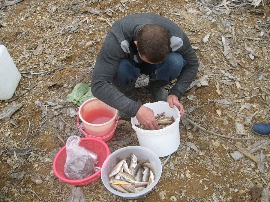 Сахалин 2011 Сахалин 2011