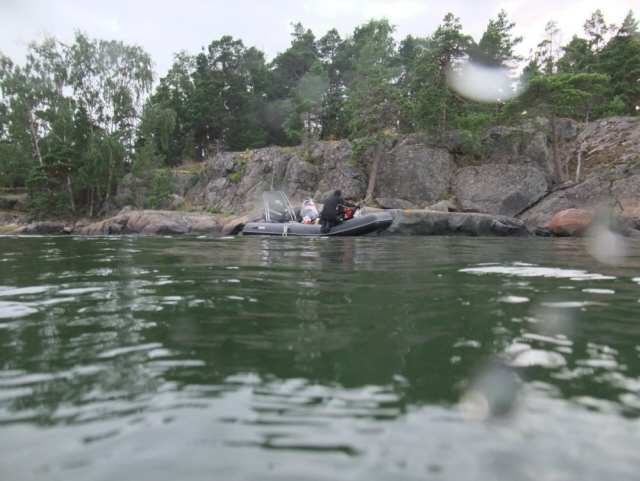 шварт остров Молога шварт остров Молога