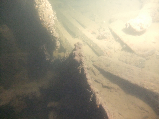 молога молога