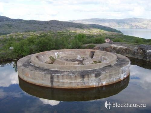 Загадочные круги Загадочные круги