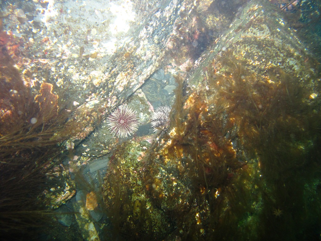 egiki4839.jpg egiki4839.jpg