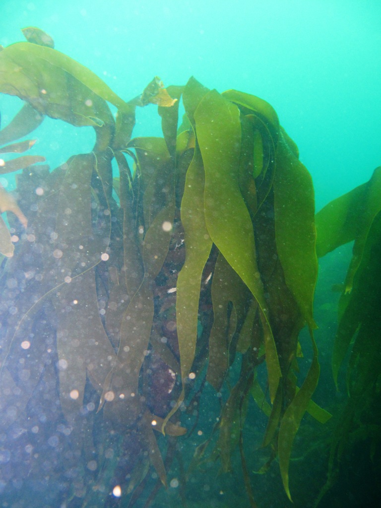 palm4844.jpg palm4844.jpg