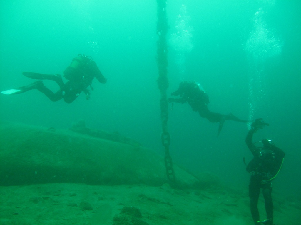 daivterib5535.jpg daivterib5535.jpg