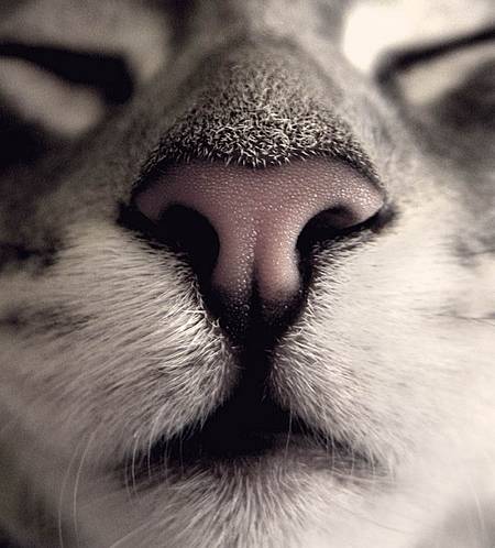 df55528555 df55528555