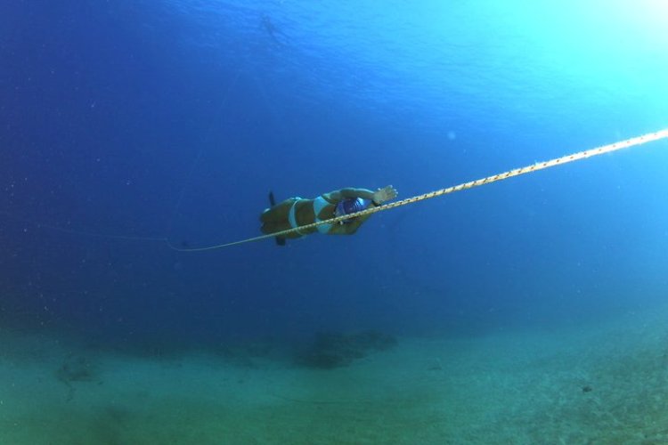 фри В.Кравцова фри В.Кравцова