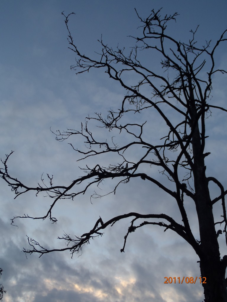 Ладога 2011. Морской Охотник. Ладога 2011. Морской Охотник.