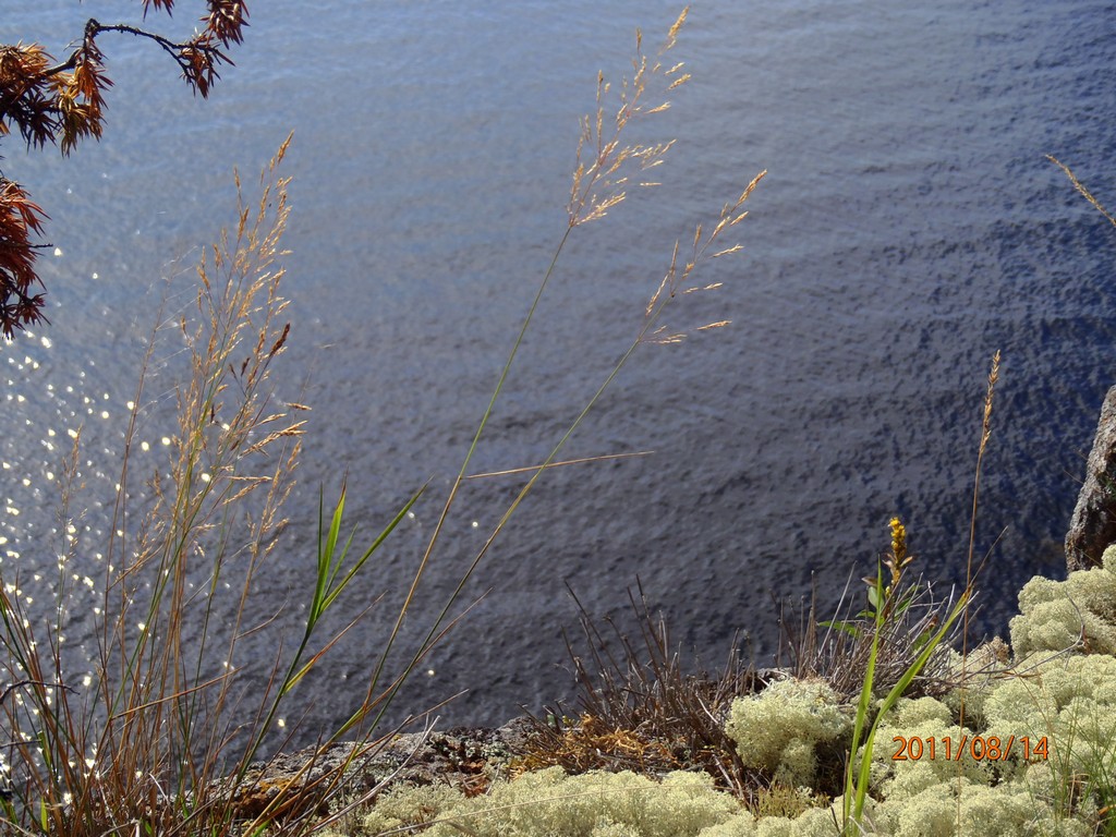 Ладога 2011. Морской Охотник. Ладога 2011. Морской Охотник.