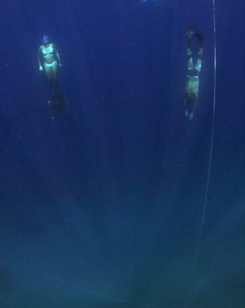 фри В.Кравцова фри В.Кравцова