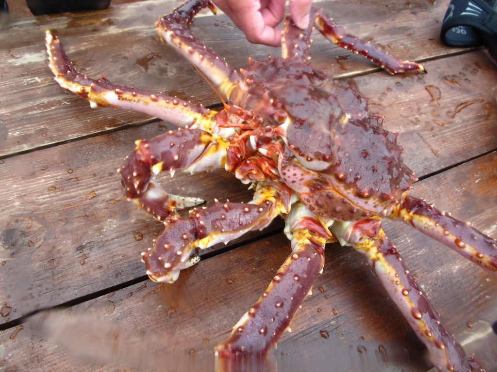 хзждбь хзждбь