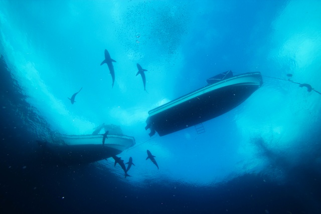 sCuba Diving с Дм.Холоденко! sCuba Diving с Дм.Холоденко!