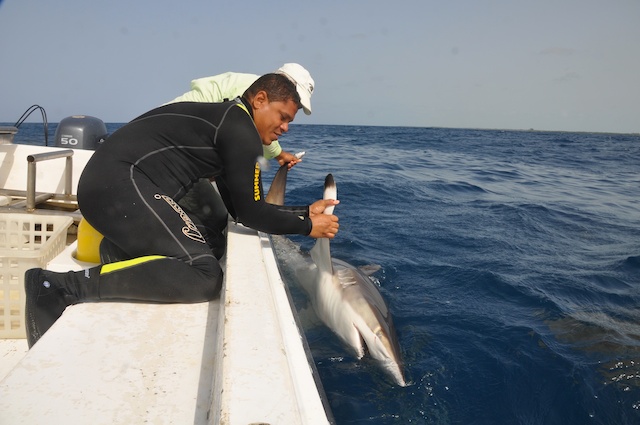 sCuba Diving с Дм.Холоденко! sCuba Diving с Дм.Холоденко!