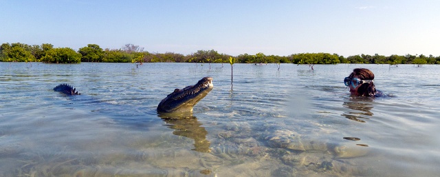 sCuba Diving с Дм.Холоденко! sCuba Diving с Дм.Холоденко!