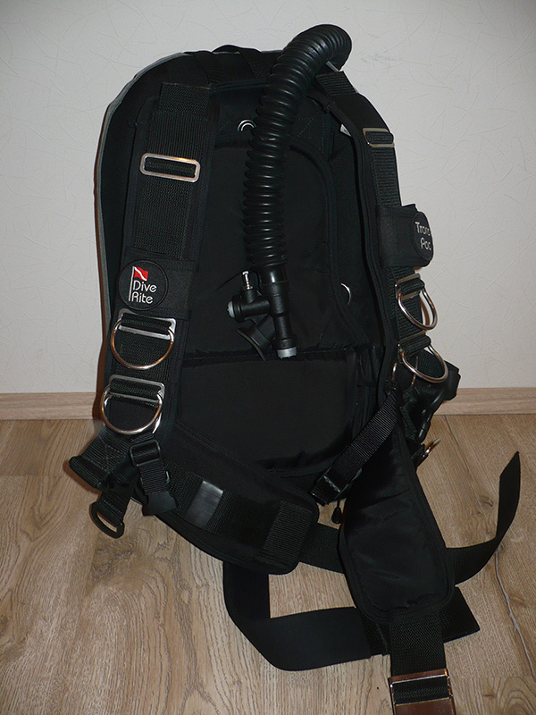P1010800 P1010800