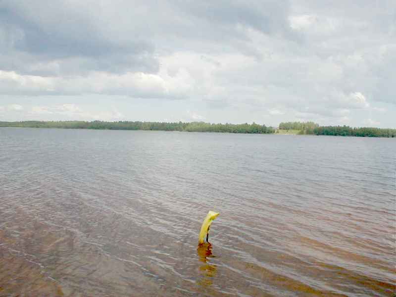 поездка на выходные поездка на выходные