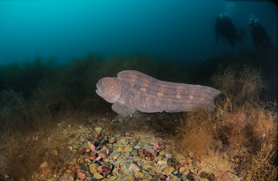 Приморье.Дальнегорск.Фото А.Шпатака Приморье.Дальнегорск.Фото А.Шпатака