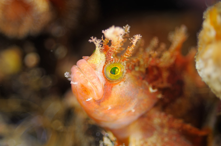 Приморье.Дальнегорск.Фото А.Шпатака Приморье.Дальнегорск.Фото А.Шпатака