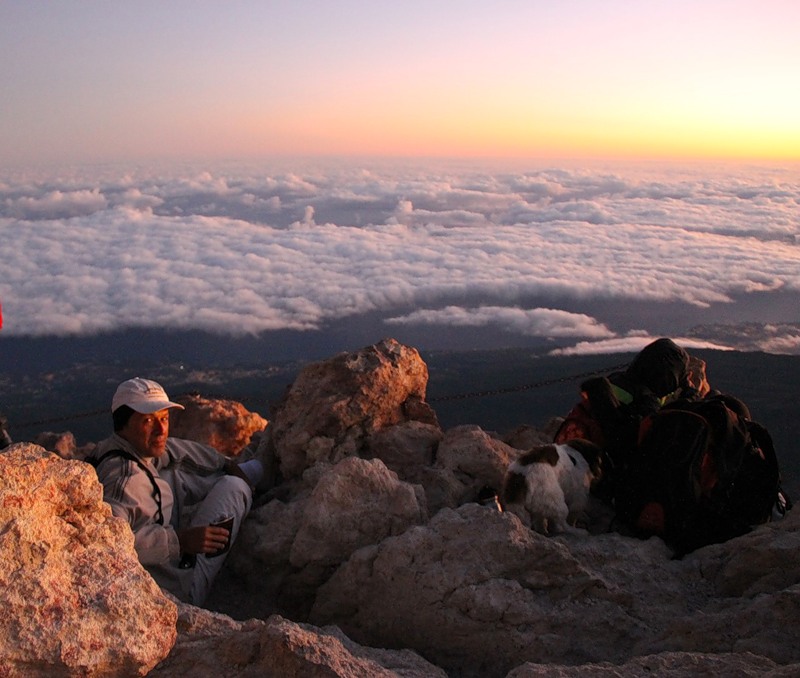 В ожидании солнца В ожидании солнца