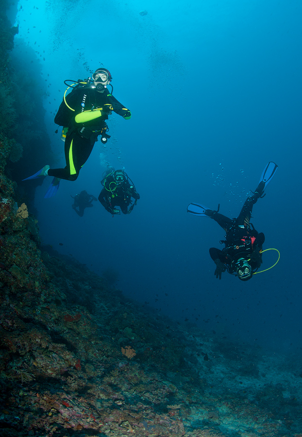 Мальдивы, Carpe Vita, ноябрь 2011 Мальдивы, Carpe Vita, ноябрь 2011