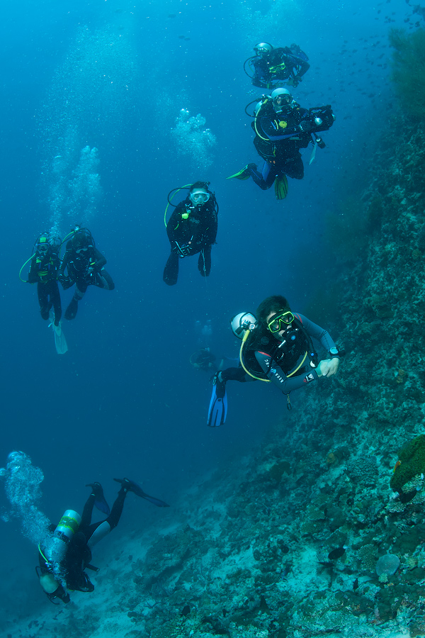 Мальдивы, Carpe Vita, ноябрь 2011 Мальдивы, Carpe Vita, ноябрь 2011