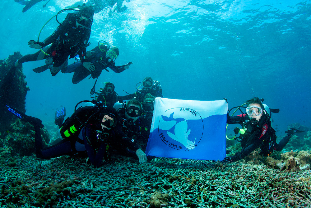 Мальдивы, Carpe Vita, ноябрь 2011 Мальдивы, Carpe Vita, ноябрь 2011