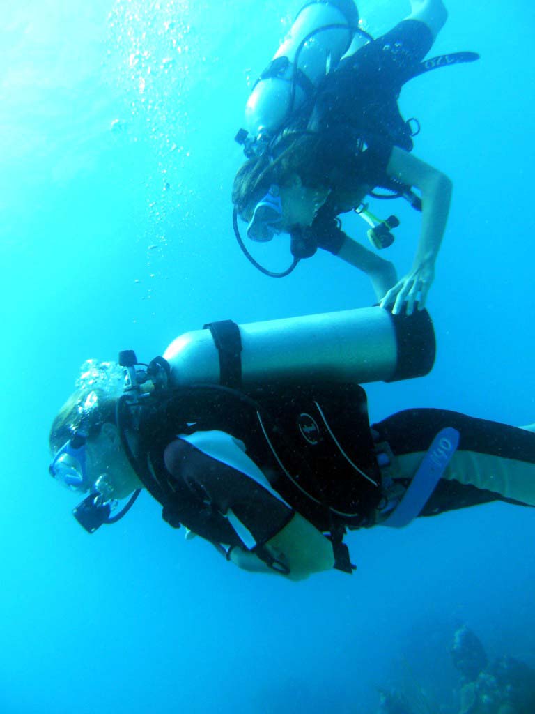 День Мирового Океана в Бока Чике. Доминикана День Мирового Океана в Бока Чике. Доминикана