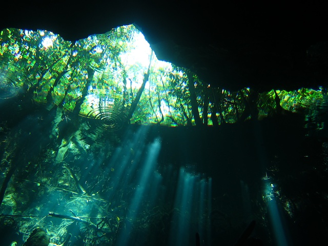 MegaDive.Club в Мексике! Ноябрь 2011 MegaDive.Club в Мексике! Ноябрь 2011