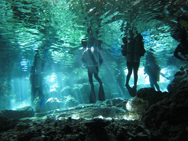 MegaDive.Club в Мексике! Ноябрь 2011 MegaDive.Club в Мексике! Ноябрь 2011