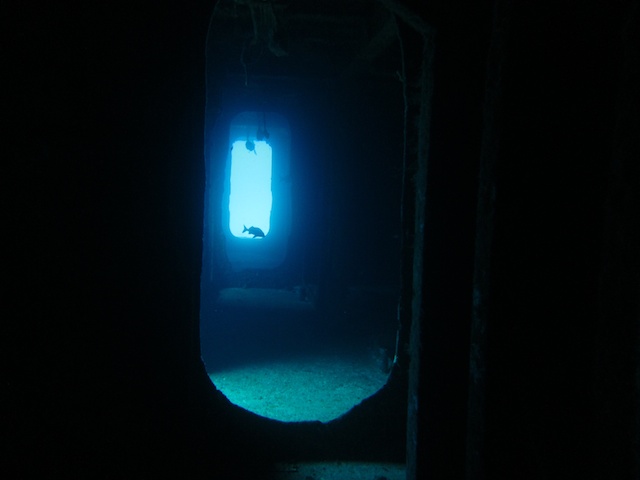 MegaDive.Club в Мексике! Ноябрь 2011 MegaDive.Club в Мексике! Ноябрь 2011