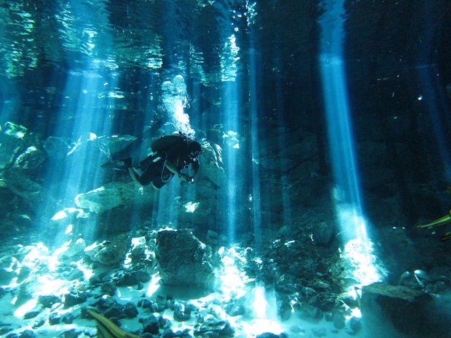 MegaDive.Club в Мексике! Ноябрь 2011 MegaDive.Club в Мексике! Ноябрь 2011