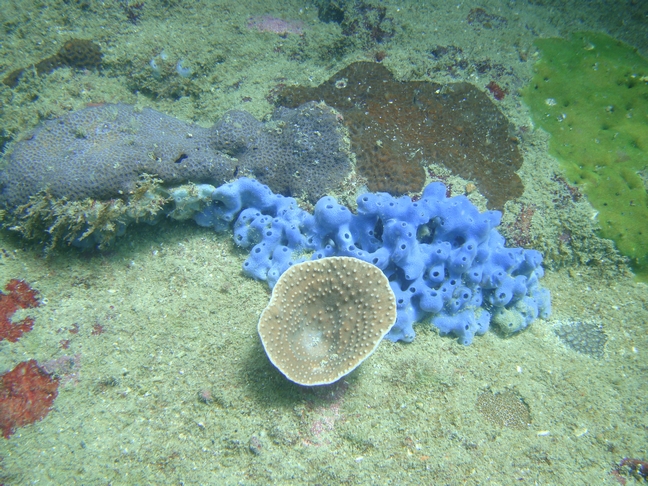 Phu-Quoc Phu-Quoc
