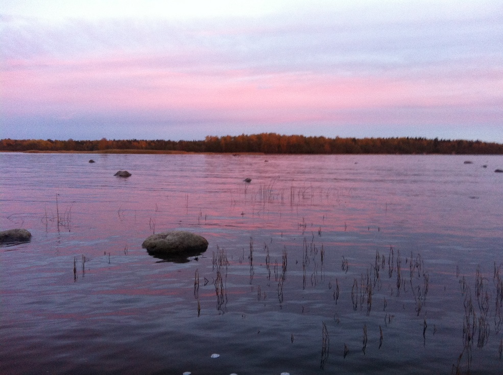 Финский залив Финский залив