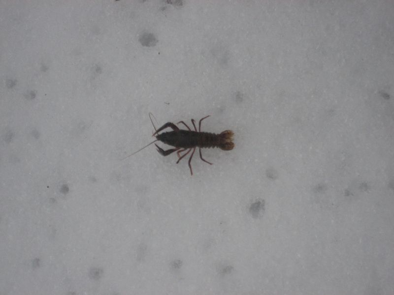 ЖК 05.01.12 ЖК 05.01.12