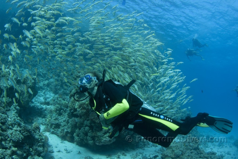 Томас, Австрия Томас, Австрия