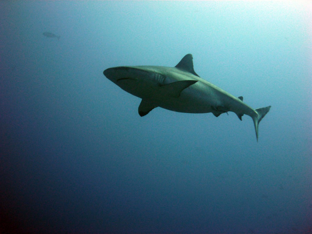 Судан_январь 2012 Судан_январь 2012