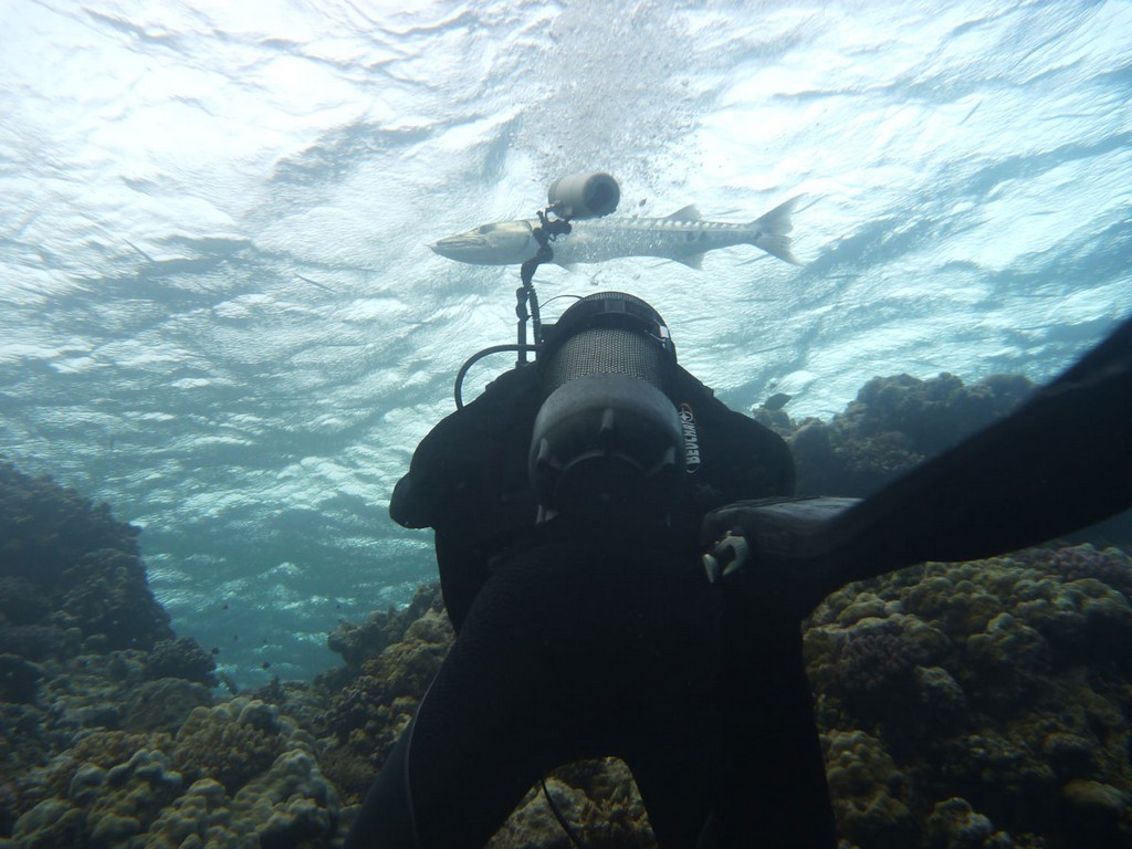 Судан_январь 2012 Судан_январь 2012