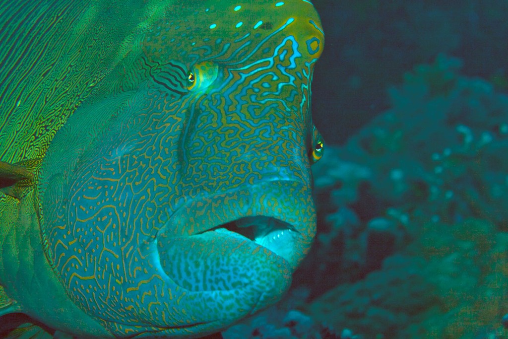 Судан_январь 2012 Судан_январь 2012