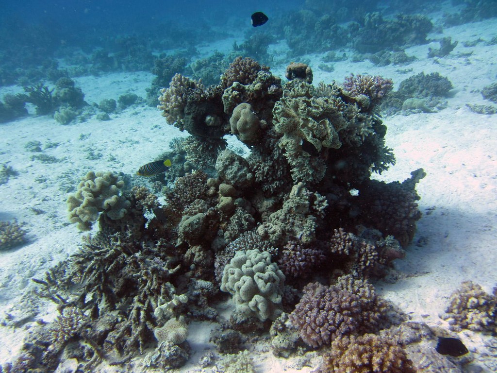 Хургада январь 2012 Хургада январь 2012