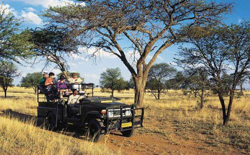 Гон сардин Гон сардин