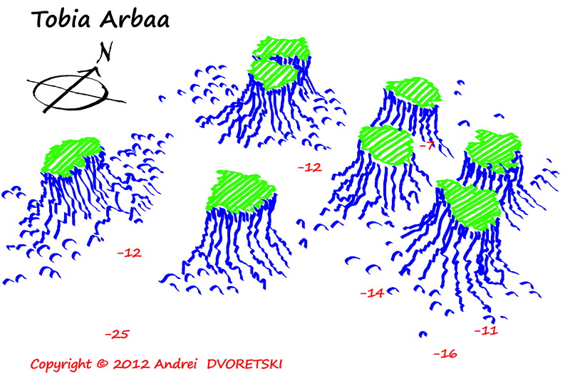 Tobia Arbaa Tobia Arbaa