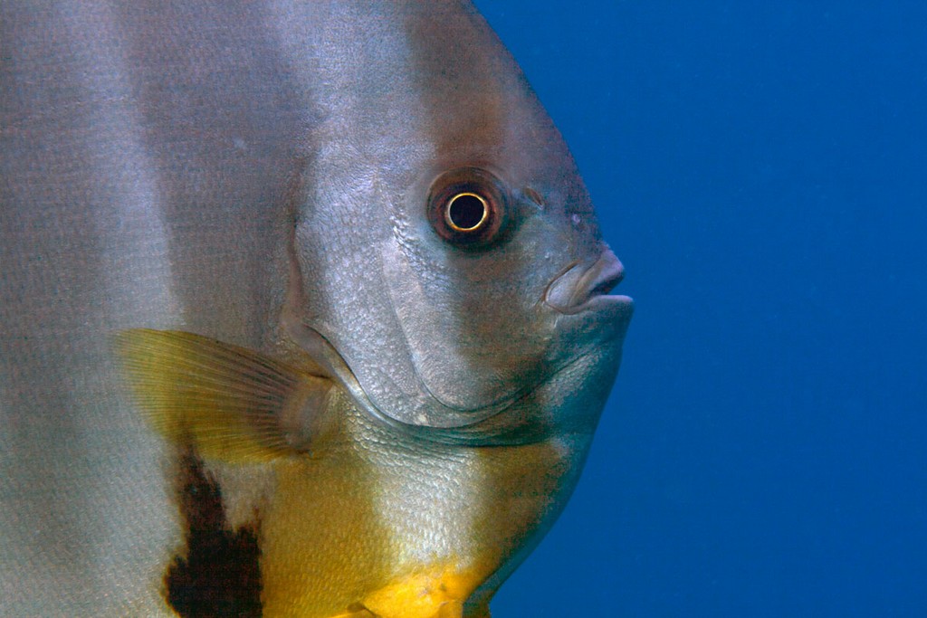 Мальдивы 2012 Мальдивы 2012