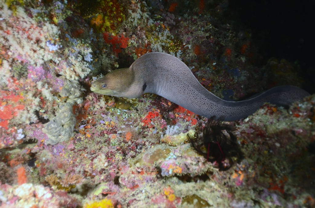 Мальдивы 2012 Мальдивы 2012