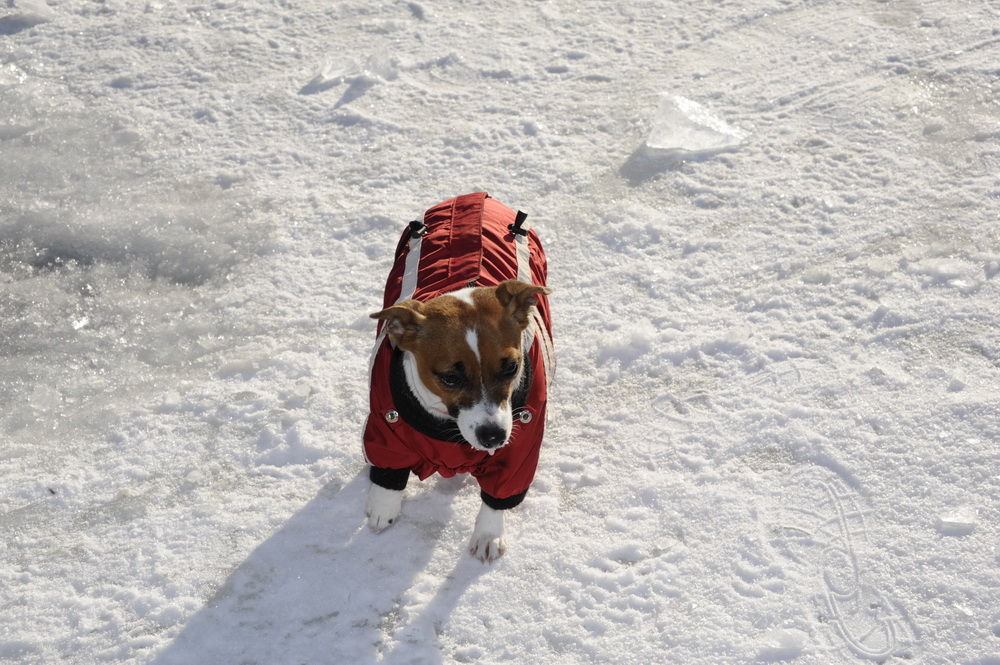 Семиозерье март 2012 Семиозерье март 2012