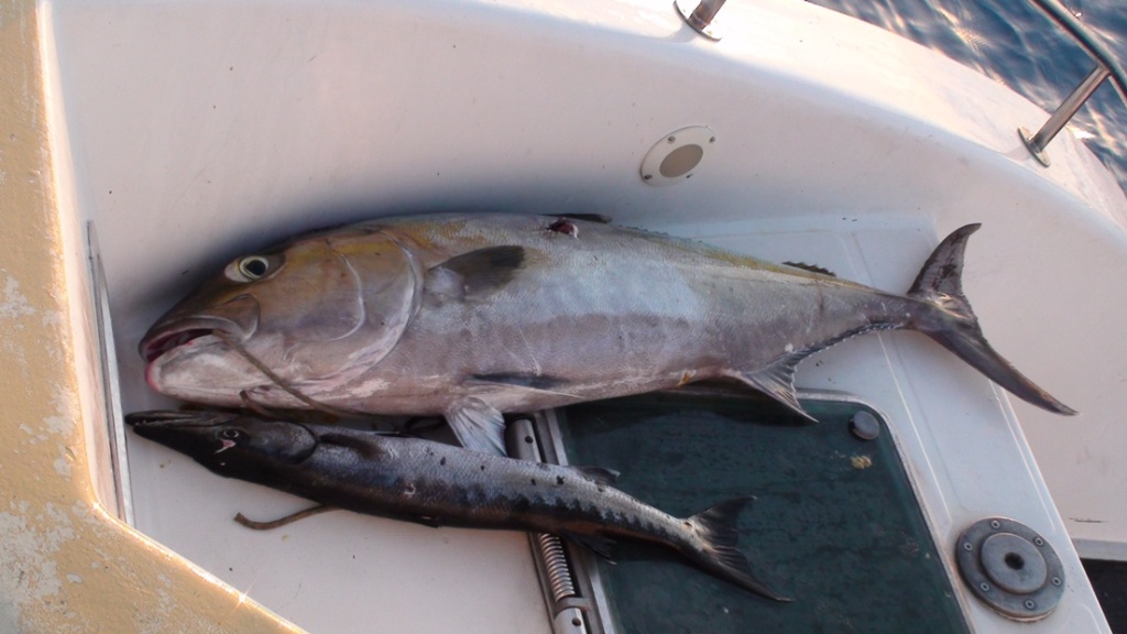 Добыча на Кубе Добыча на Кубе