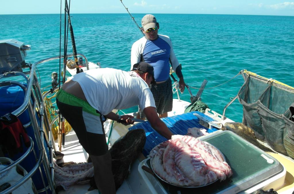 Филе на 30 кг Филе на 30 кг